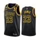 Los Angeles Lakers LeBron James 2020 Nba Finals Campeones Camisetas Black Mamba inspirado