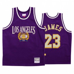 LeBron James # 23 Los Angeles Lakers Purple Council Fashion Camisetas