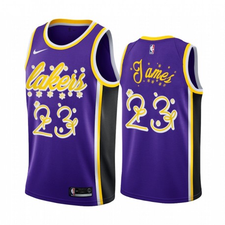 LeBron James Los Angeles Lakers 2020 Navidad Night Purple Camisetas Festiva Edición Especial