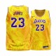 Los Angeles Lakers Lebron James y 23 Gold 2020 Fashion Edition Camisetas