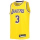 Anthony Davis Los Angeles Lakers Nike Youth 2021/22 Diamond Swingman Camiseta - Icon Edición - Oro
